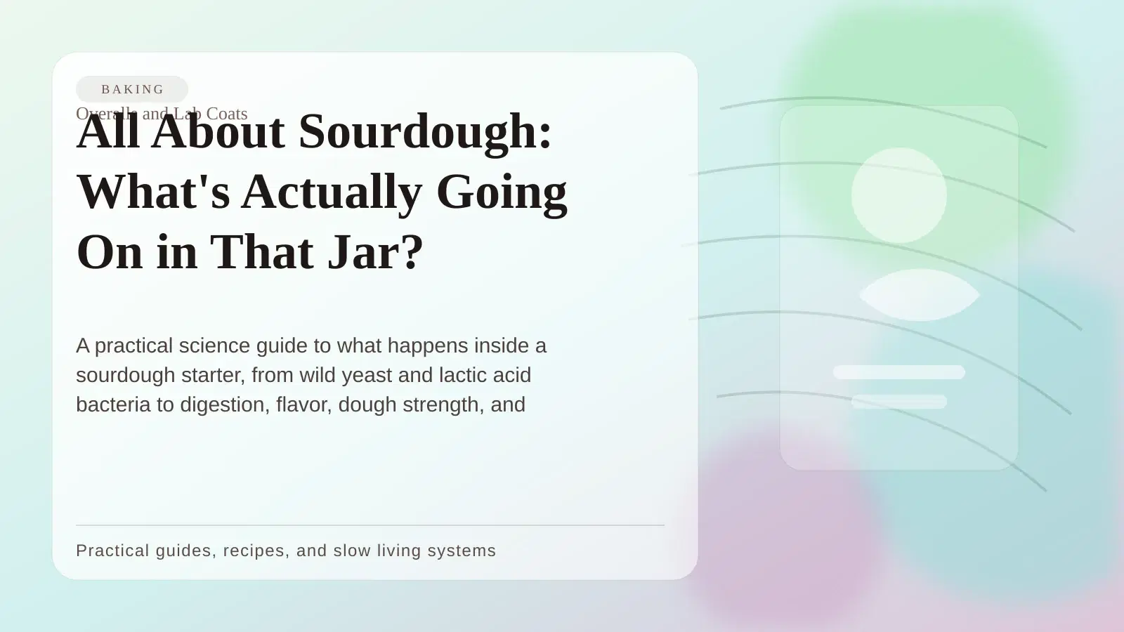 All About Sourdough: What's Actually Going On in That Jar?