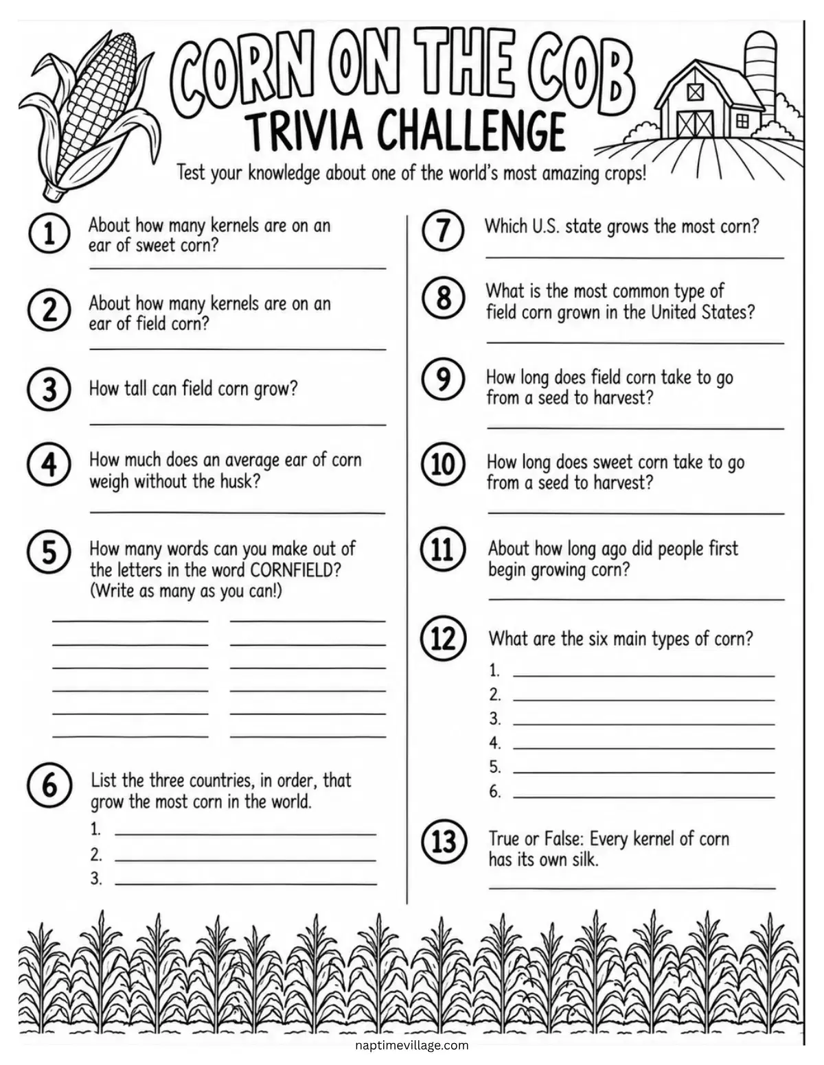 Corn on the Cob Trivia Worksheet & Answer Key