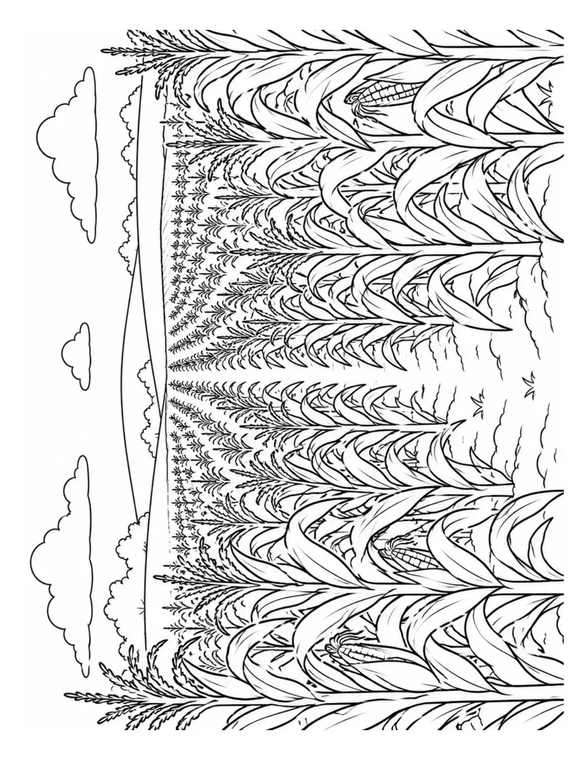 Rows of Corn Coloring Page