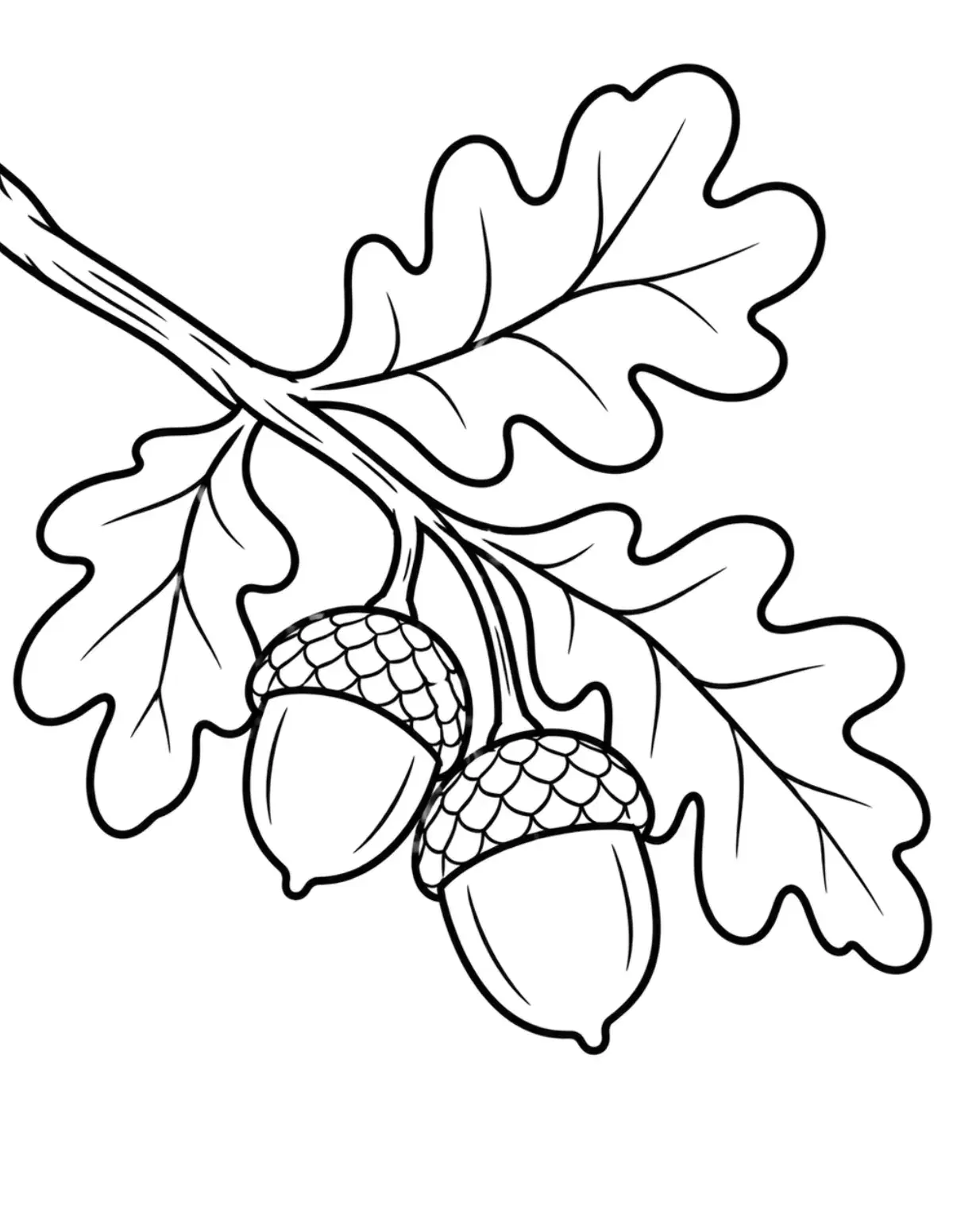 Acorns on an Oak Branch Coloring Page