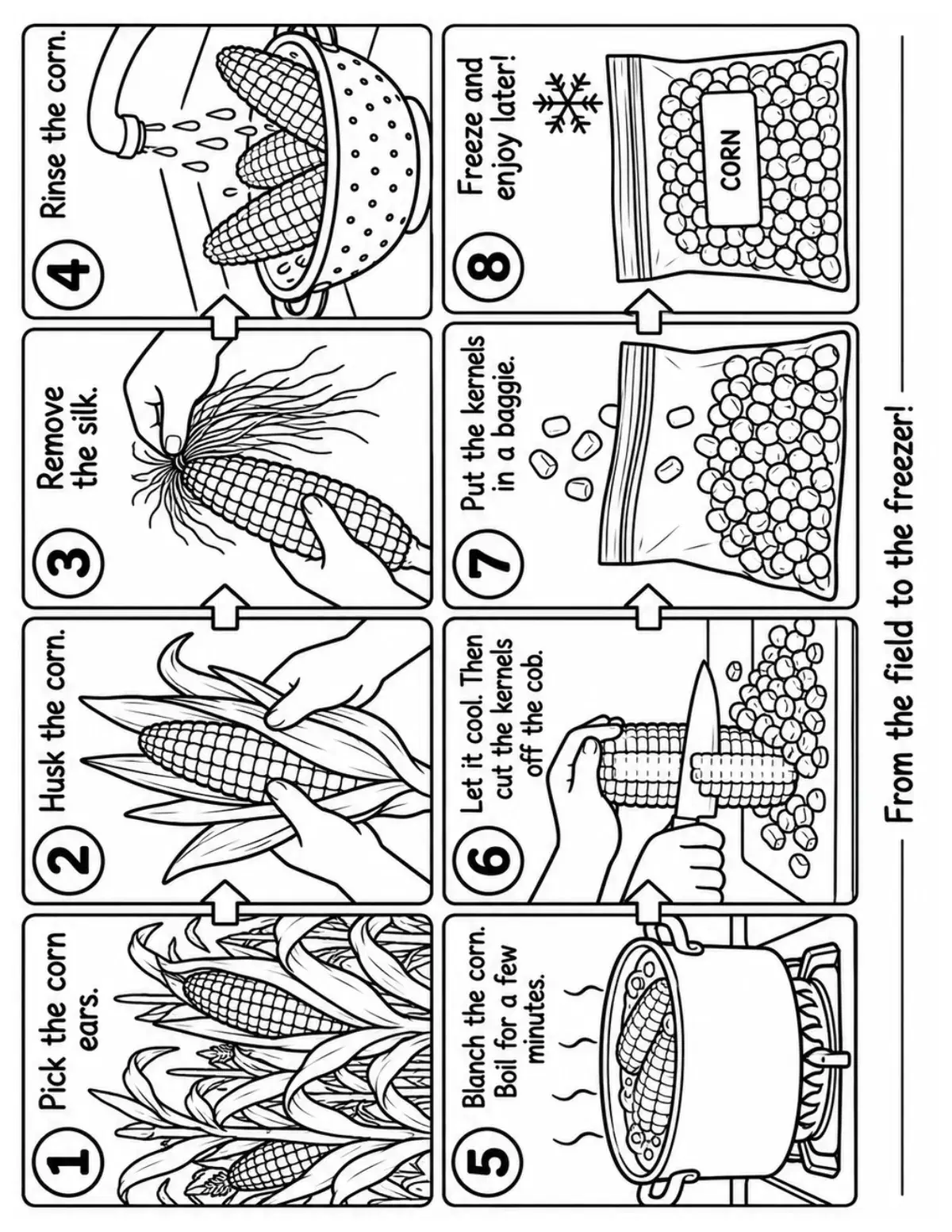 Corn Harvest Sequencing Coloring Page