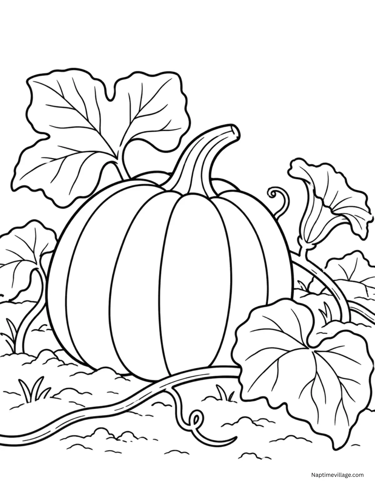 Pumpkin on a Vine Coloring Page