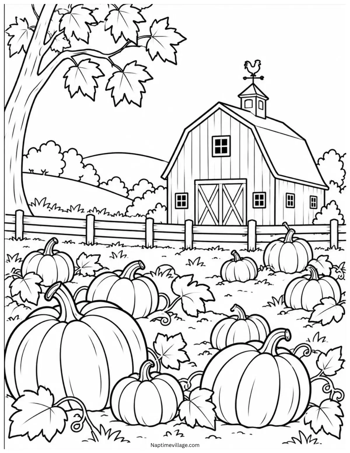 Farm Pumpkin Patch Coloring Page