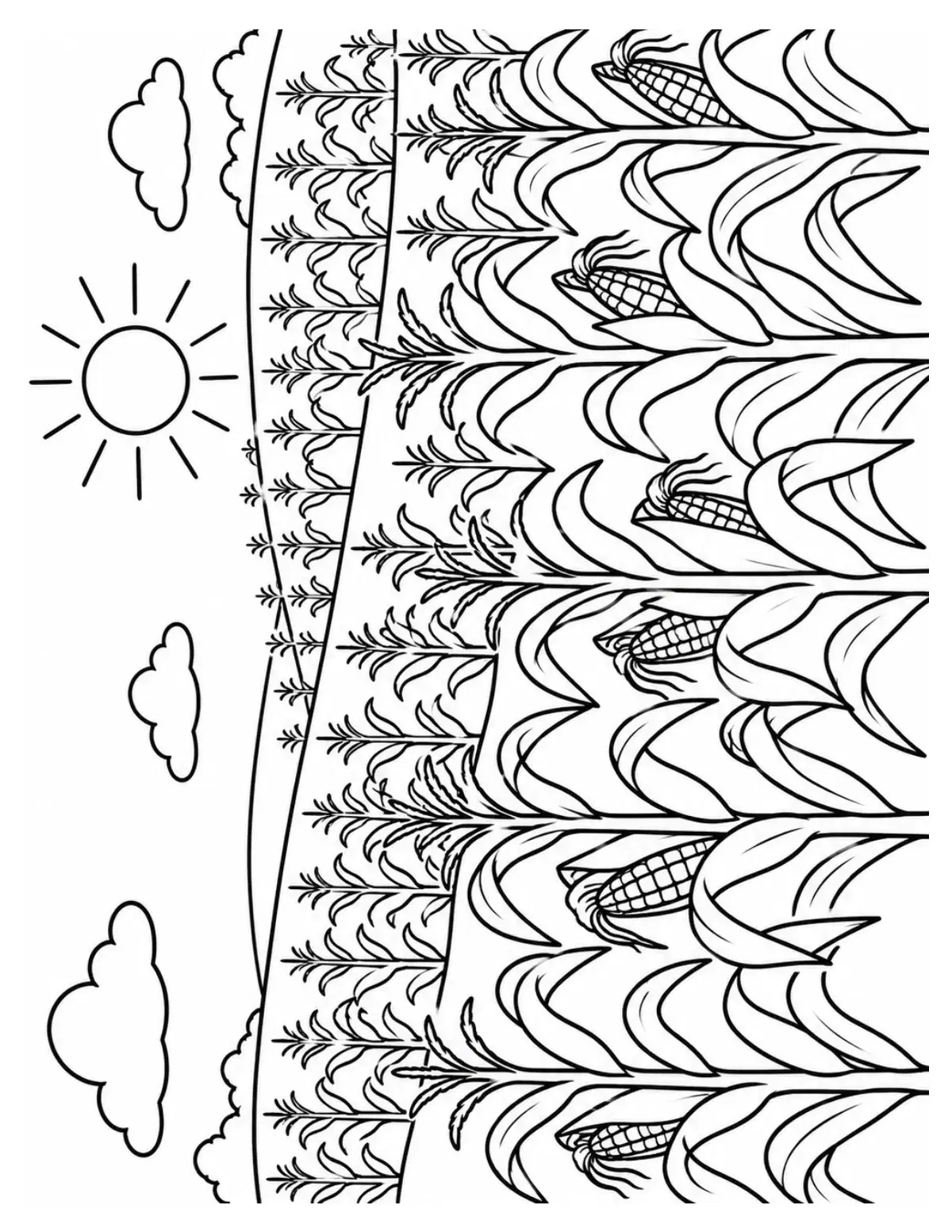Sunny Cornfield Coloring Page