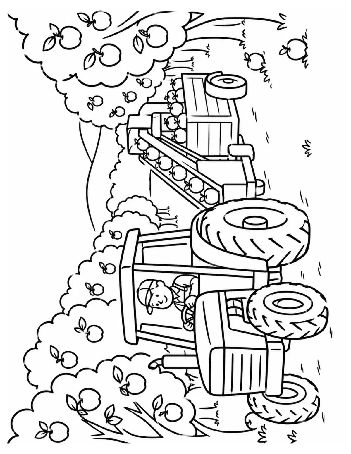 Tractor Harvesting Apples