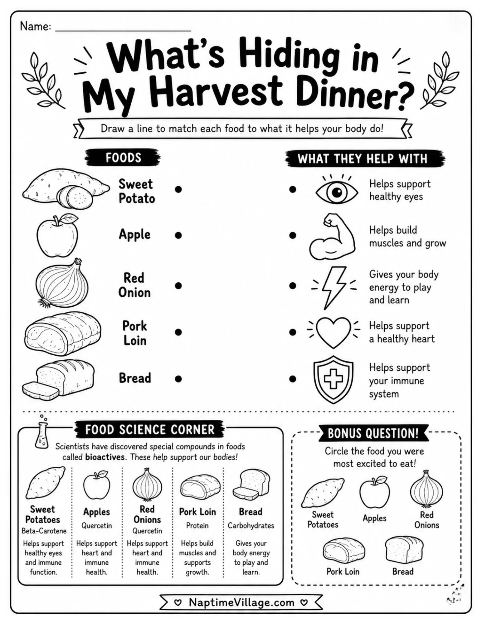 Harvest Dinner Food Matching Worksheet