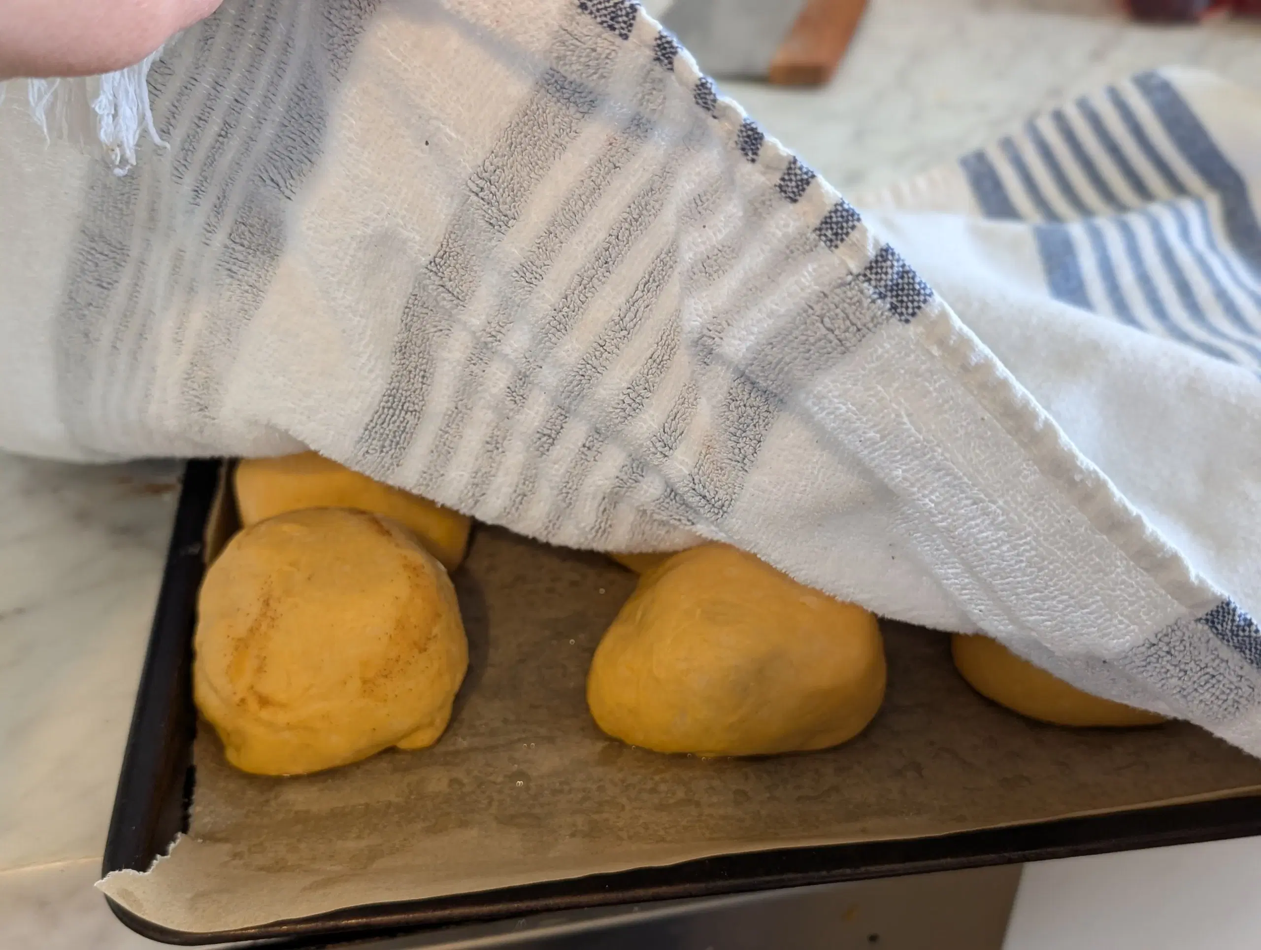 Sweet Potato Sourdough Rolls photo