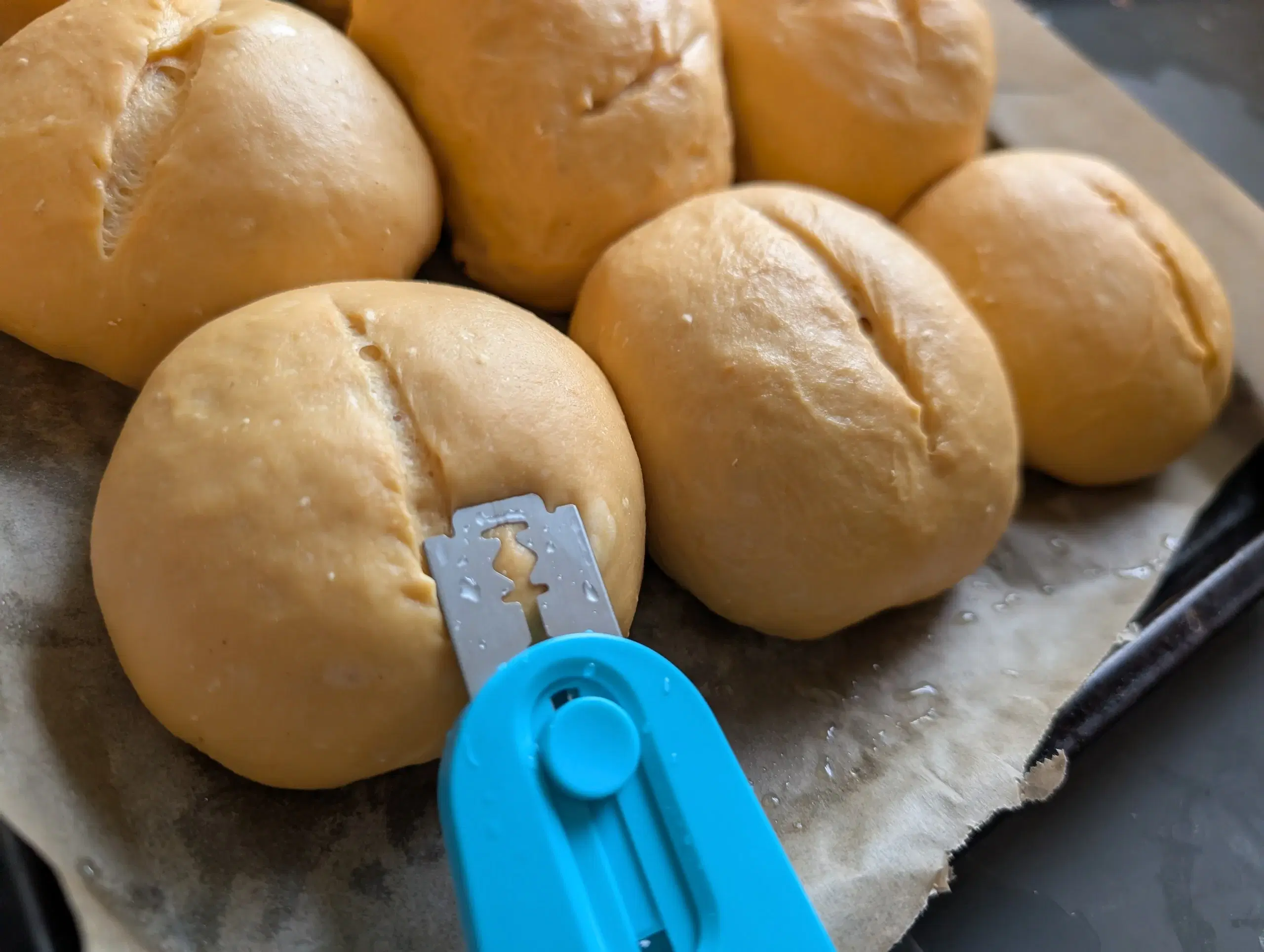 Sweet Potato Sourdough Rolls photo